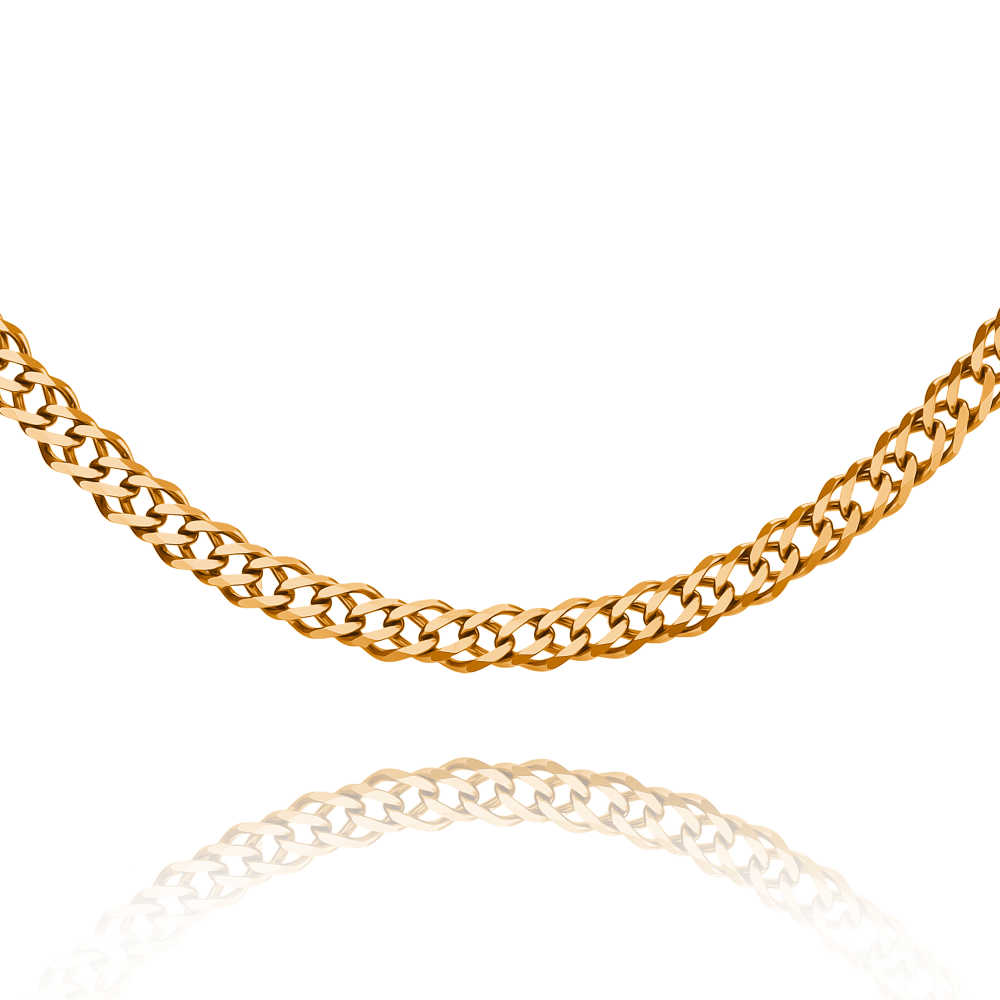 Цепь ЦР250СА6-А51